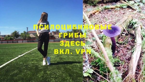 MDMA Premium VHQ Алексеевка