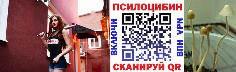 Галлюциногенные грибы мухоморы  Новоульяновск 